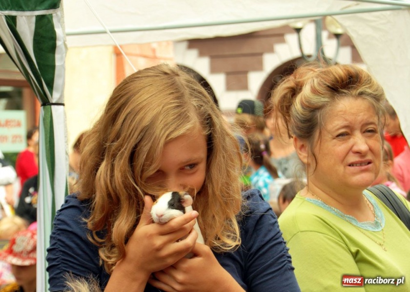 Zdjęcie w galerii na portalu naszraciborz.pl: Speedway gryzoni Zoo Maru wiadomości z regionu