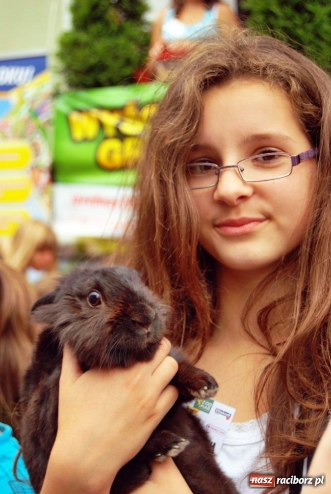 Zdjęcie w galerii na portalu naszraciborz.pl: Speedway gryzoni Zoo Maru wiadomości z regionu