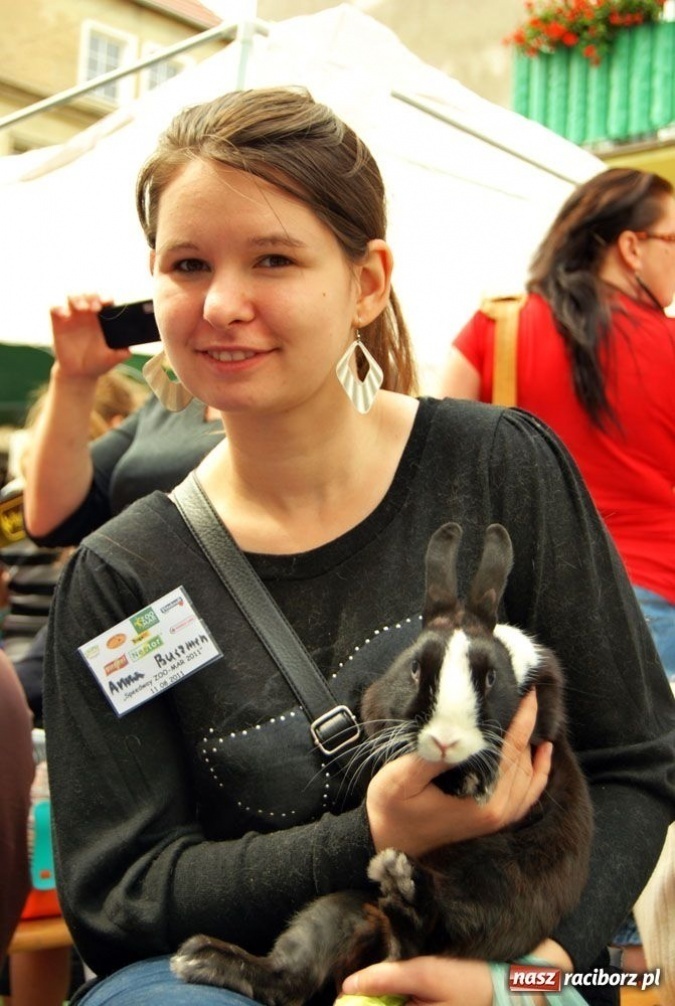 Zdjęcie w galerii na portalu naszraciborz.pl: Speedway gryzoni Zoo Maru wiadomości z regionu