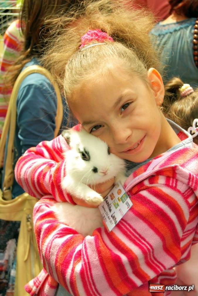 Zdjęcie w galerii na portalu naszraciborz.pl: Speedway gryzoni Zoo Maru wiadomości z regionu
