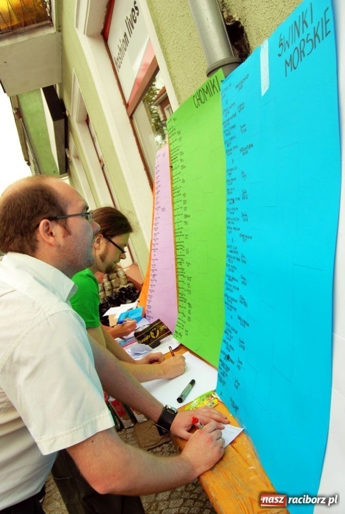 Zdjęcie w galerii na portalu naszraciborz.pl: Speedway gryzoni Zoo Maru wiadomości z regionu