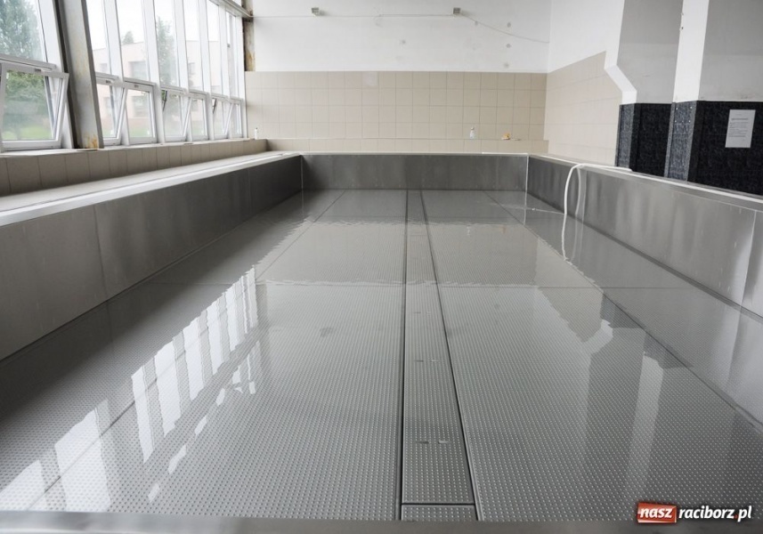 Zdjęcie w galerii na portalu naszraciborz.pl: Pływalnia SMS-u na wstępnym rozruchu wiadomości z regionu