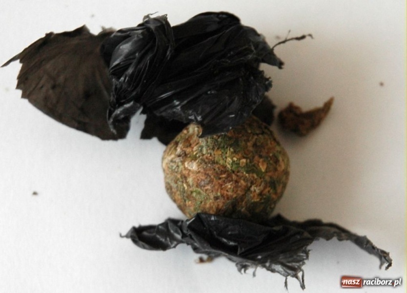 Zdjęcie w galerii na portalu naszraciborz.pl: ŚOSG: Polak zatrzymany z marihuaną wiadomości z regionu