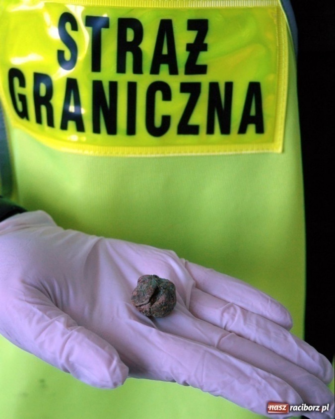 Zdjęcie w galerii na portalu naszraciborz.pl: ŚOSG: Polak zatrzymany z marihuaną wiadomości z regionu