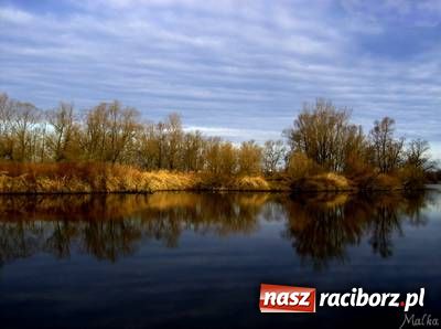 Zdjęcie w galerii na portalu naszraciborz.pl: Racibórz jest naprawdę piękny wiadomości z regionu