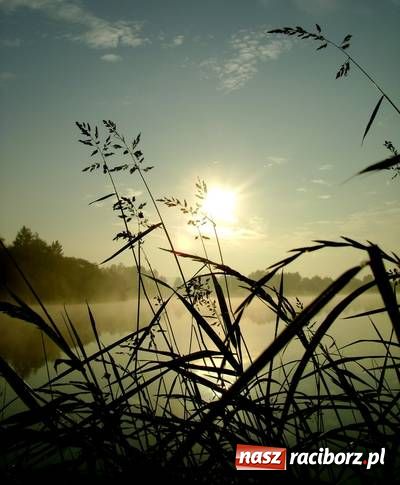 Zdjęcie w galerii na portalu naszraciborz.pl: Racibórz jest naprawdę piękny wiadomości z regionu