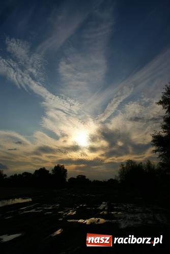 Zdjęcie w galerii na portalu naszraciborz.pl: Racibórz jest naprawdę piękny wiadomości z regionu
