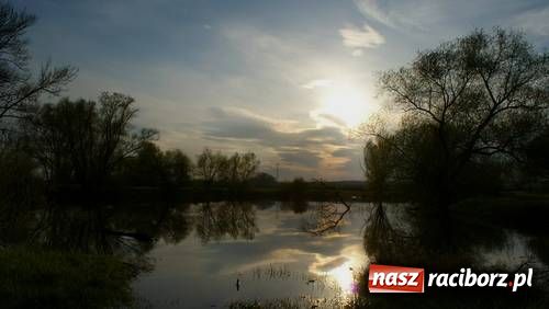 Zdjęcie w galerii na portalu naszraciborz.pl: Racibórz jest naprawdę piękny wiadomości z regionu