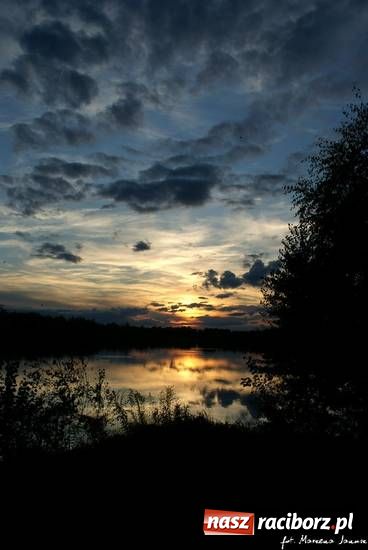 Zdjęcie w galerii na portalu naszraciborz.pl: Racibórz jest naprawdę piękny wiadomości z regionu