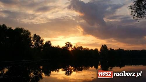 Zdjęcie w galerii na portalu naszraciborz.pl: Racibórz jest naprawdę piękny wiadomości z regionu