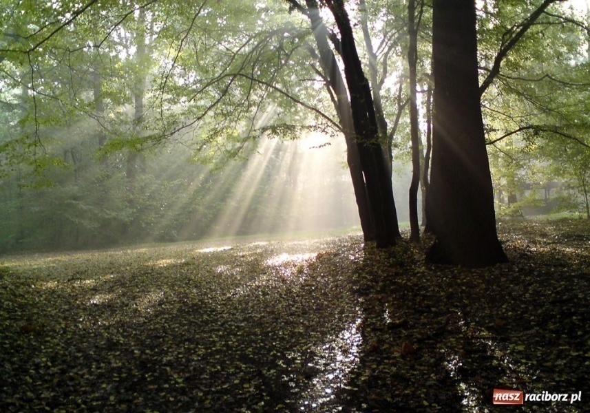Zdjęcie w galerii na portalu naszraciborz.pl: Racibórz jest naprawdę piękny wiadomości z regionu