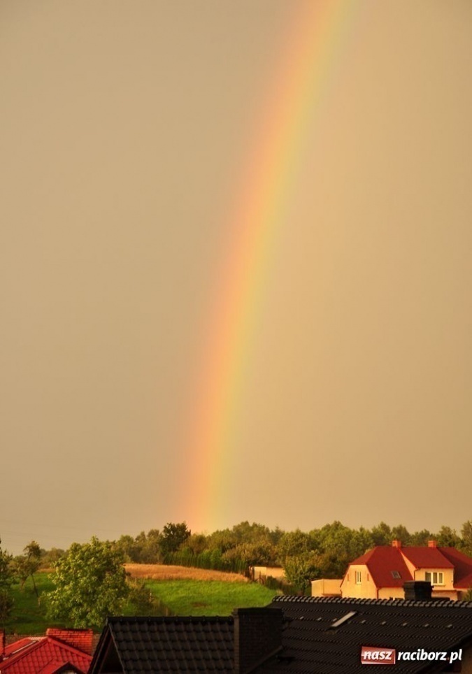 Zdjęcie w galerii na portalu naszraciborz.pl: Racibórz jest naprawdę piękny wiadomości z regionu