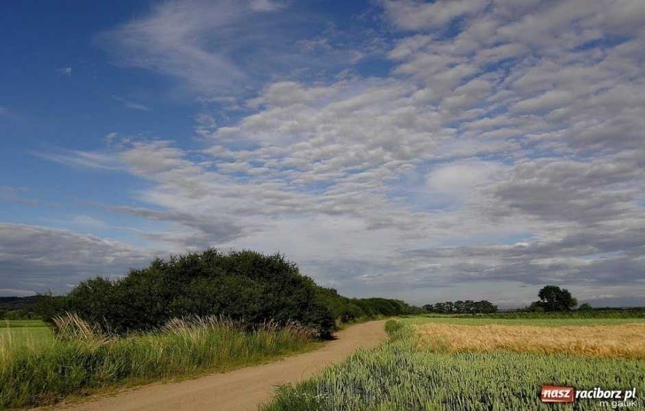 Zdjęcie w galerii na portalu naszraciborz.pl: Racibórz jest naprawdę piękny wiadomości z regionu