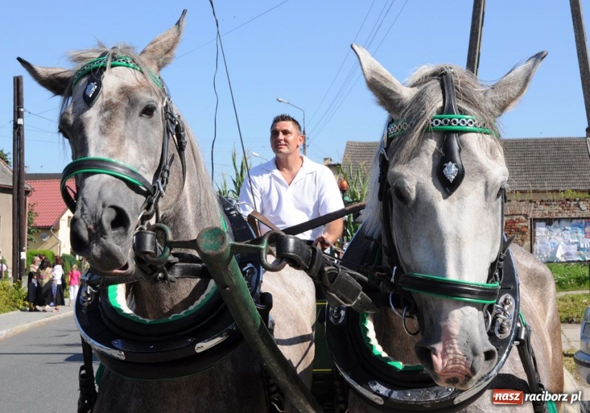 Zdjęcie w galerii na portalu naszraciborz.pl: W Krowiarkach dziękowali za plony wiadomości z regionu