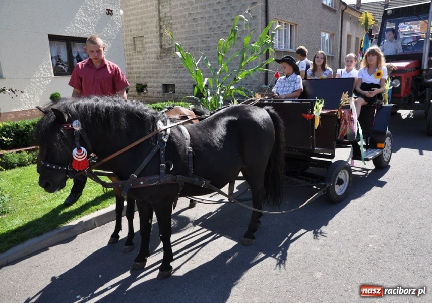 Zdjęcie w galerii na portalu naszraciborz.pl: Siostry pierwszej pomocy z Bolesławia wiadomości z regionu