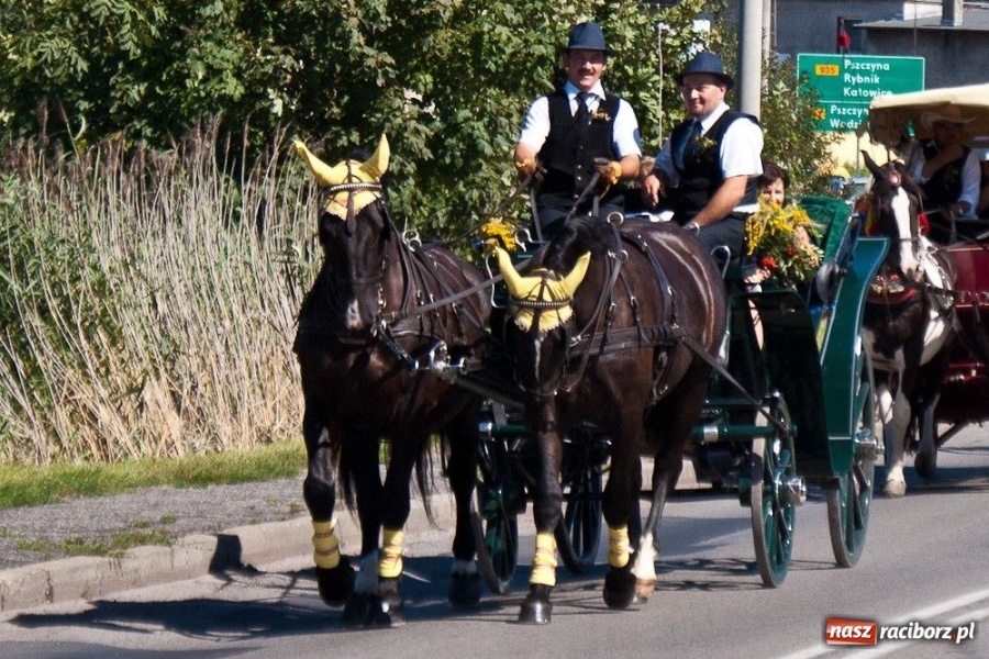 Zdjęcie w galerii na portalu naszraciborz.pl: Dożynki gminne w Rzuchowie wiadomości z regionu
