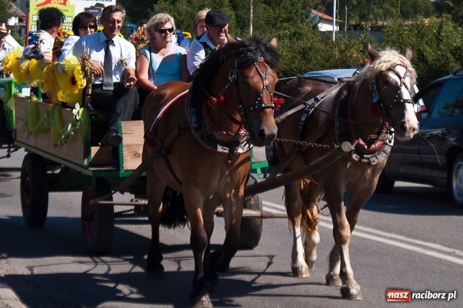 Zdjęcie w galerii na portalu naszraciborz.pl: Dożynki gminne w Rzuchowie wiadomości z regionu