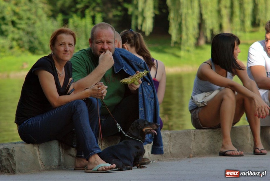 Zdjęcie w galerii na portalu naszraciborz.pl: Jazzowe klimaty w muszelce wiadomości z regionu