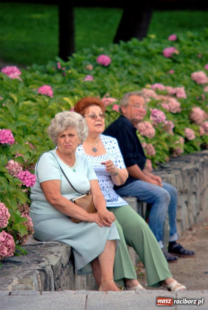 Zdjęcie w galerii na portalu naszraciborz.pl: Jazzowe klimaty w muszelce wiadomości z regionu