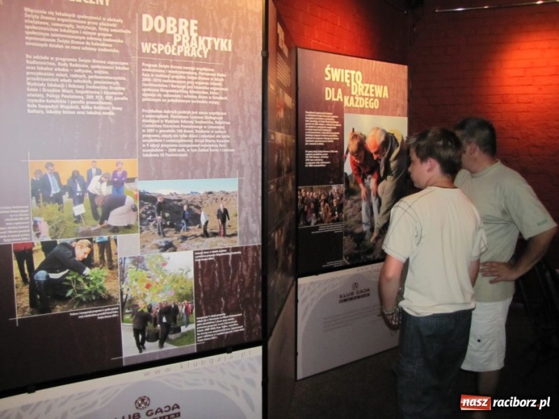 Zdjęcie w galerii na portalu naszraciborz.pl: Sadź drzewa, ratuj konie wiadomości z regionu
