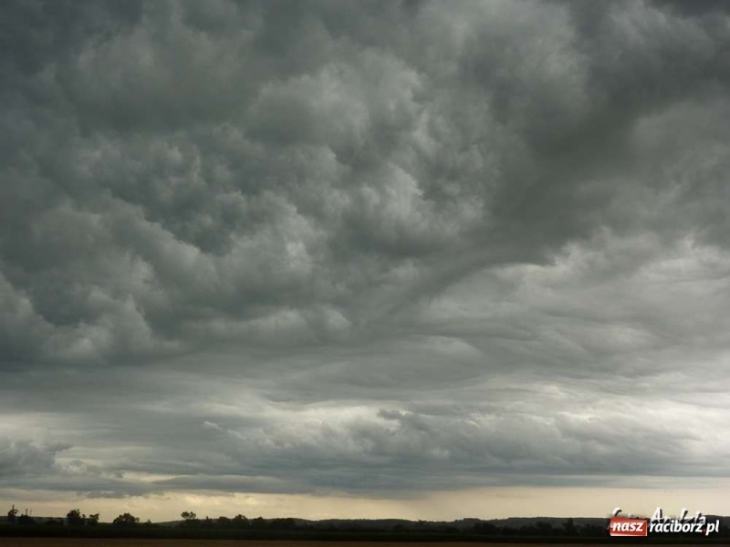 Zdjęcie w galerii na portalu naszraciborz.pl: Racibórz jest naprawdę piękny 2 wiadomości z regionu