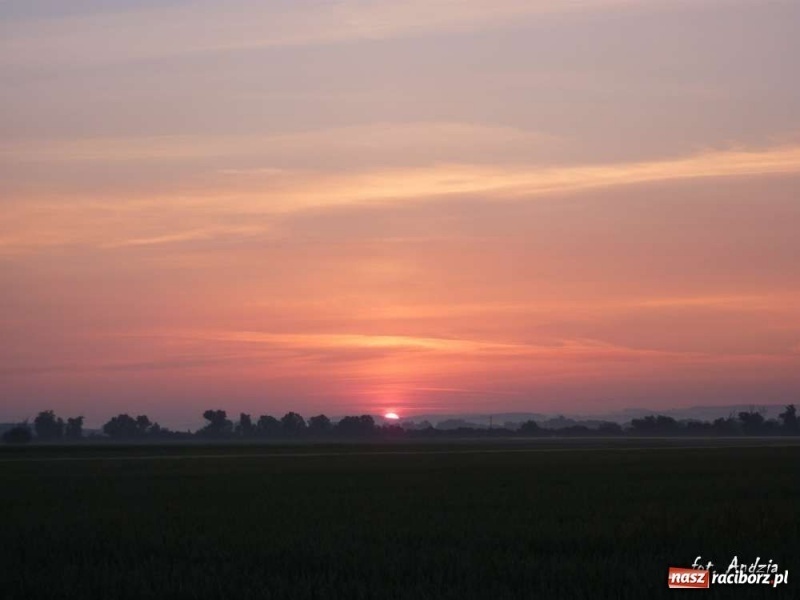 Zdjęcie w galerii na portalu naszraciborz.pl: Racibórz jest naprawdę piękny 2 wiadomości z regionu