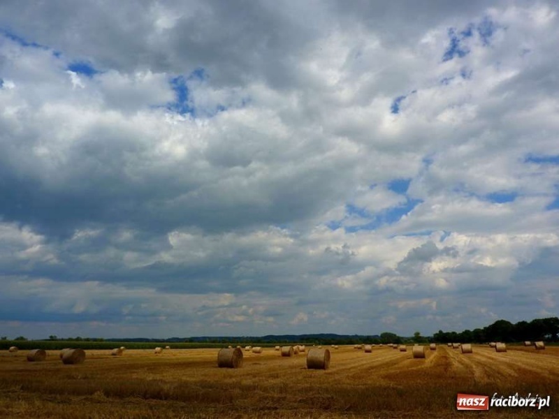 Zdjęcie w galerii na portalu naszraciborz.pl: Racibórz jest naprawdę piękny 2 wiadomości z regionu