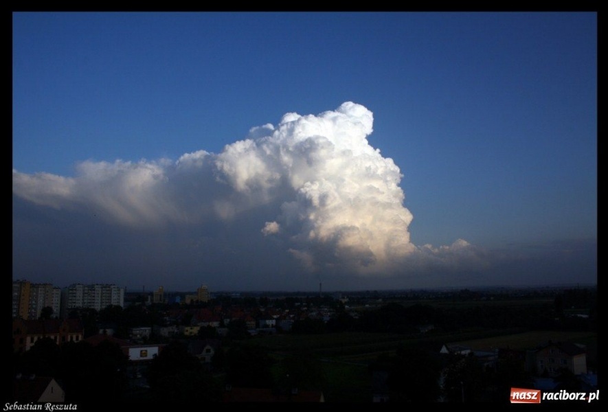 Zdjęcie w galerii na portalu naszraciborz.pl: Racibórz jest naprawdę piękny 2 wiadomości z regionu