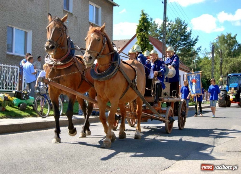 Zdjęcie w galerii na portalu naszraciborz.pl: Wielu mieszkańców żyje tu z rolnictwa wiadomości z regionu