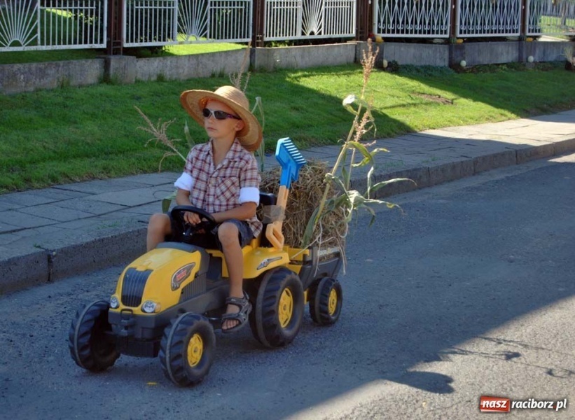 Zdjęcie w galerii na portalu naszraciborz.pl: Wielu mieszkańców żyje tu z rolnictwa wiadomości z regionu