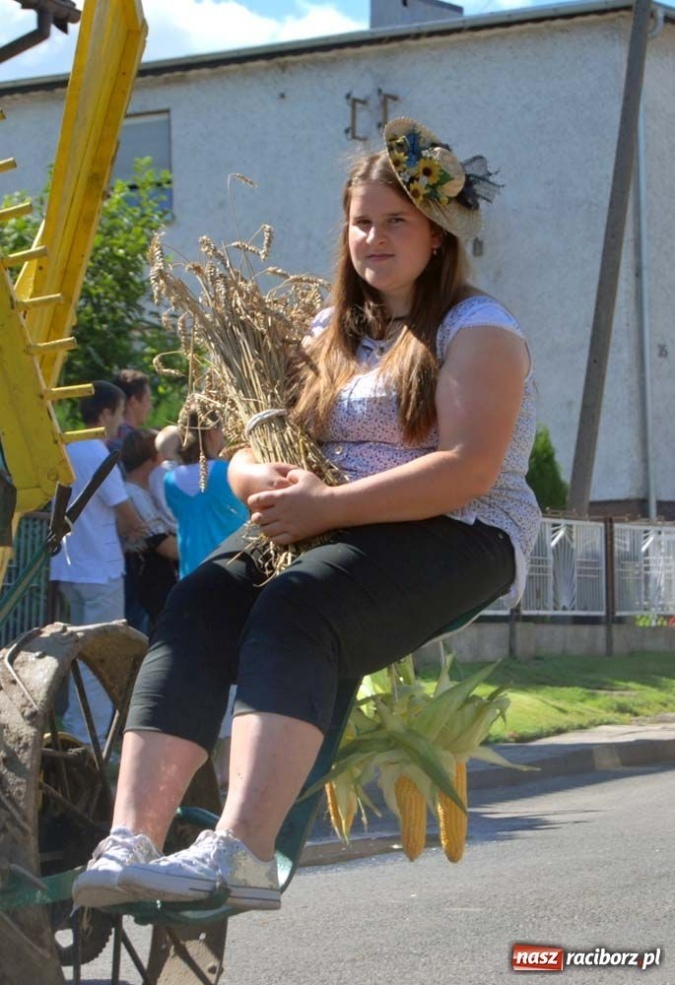 Zdjęcie w galerii na portalu naszraciborz.pl: Wielu mieszkańców żyje tu z rolnictwa wiadomości z regionu