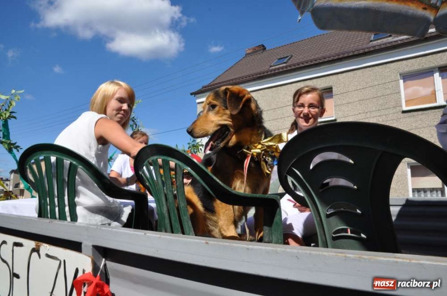 Zdjęcie w galerii na portalu naszraciborz.pl: Cyprzanów, Owsiszcze, Zabełków wiadomości z regionu