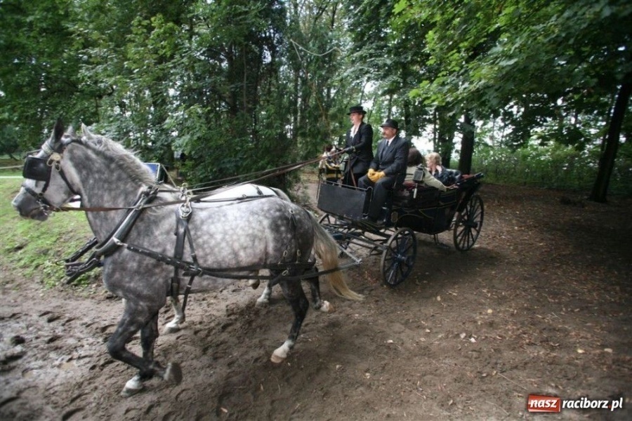 Zdjęcie w galerii na portalu naszraciborz.pl: Dla gwiazd gotować będą raciborzanie wiadomości z regionu