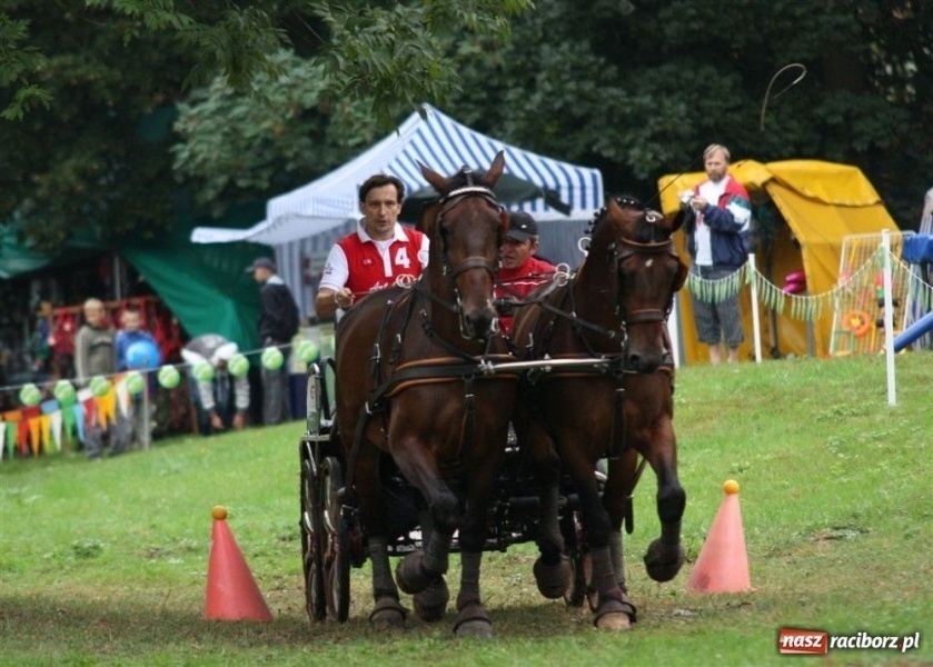 Zdjęcie w galerii na portalu naszraciborz.pl: Dla gwiazd gotować będą raciborzanie wiadomości z regionu