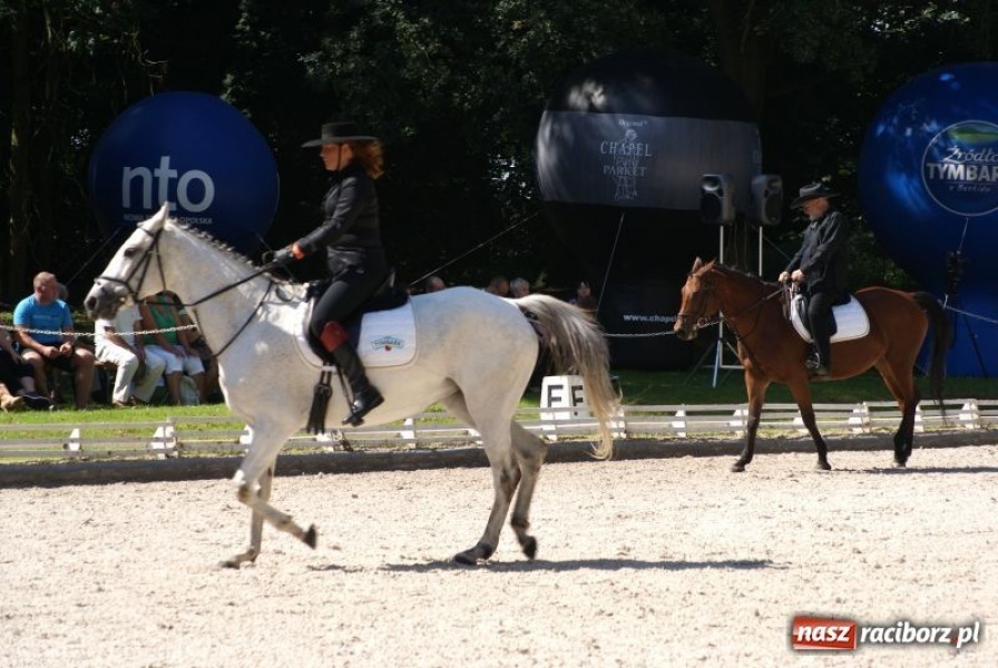 Zdjęcie w galerii na portalu naszraciborz.pl: Art Cup gwiazd z raciborskimi akcentami wiadomości z regionu