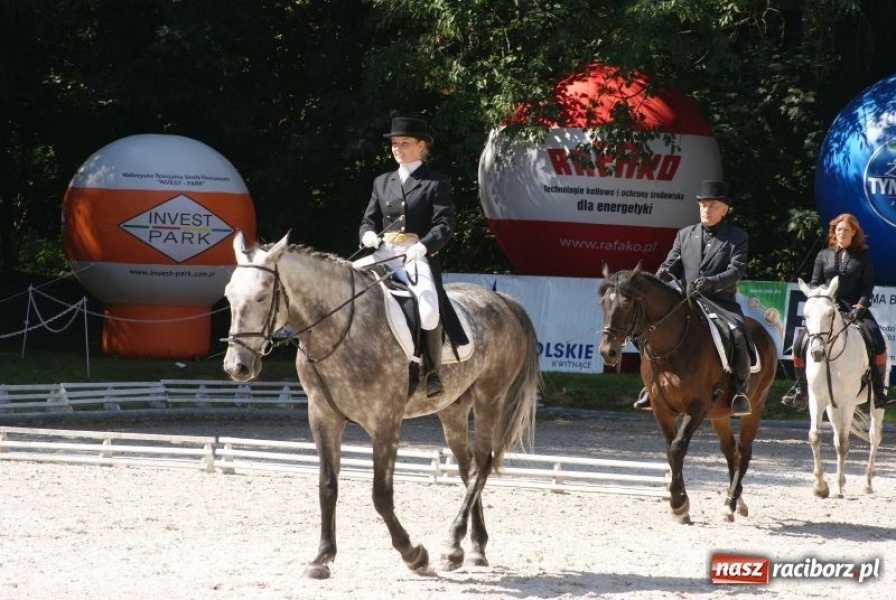 Zdjęcie w galerii na portalu naszraciborz.pl: Art Cup gwiazd z raciborskimi akcentami wiadomości z regionu