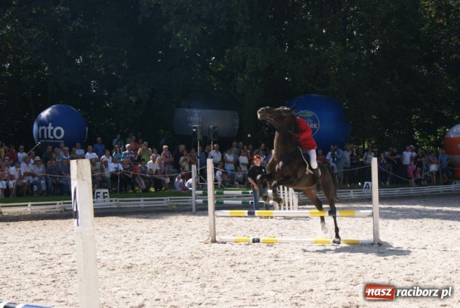Zdjęcie w galerii na portalu naszraciborz.pl: Art Cup gwiazd z raciborskimi akcentami wiadomości z regionu