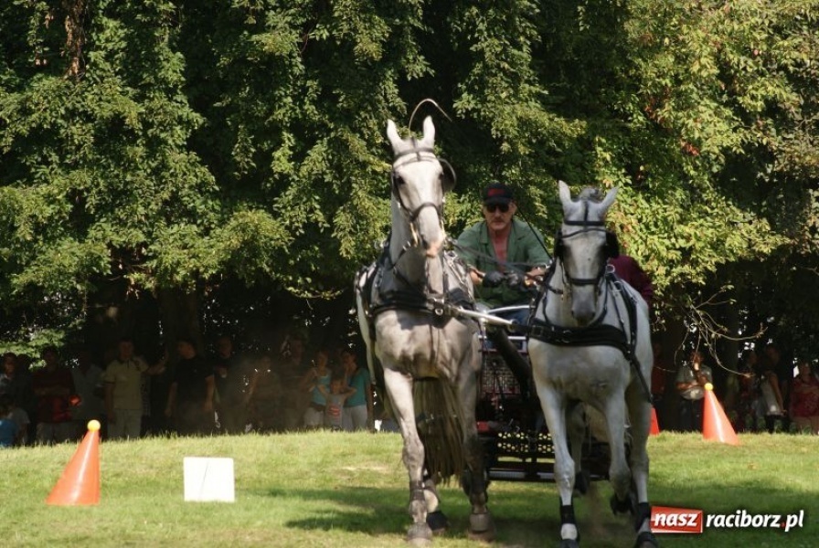 Zdjęcie w galerii na portalu naszraciborz.pl: Art Cup gwiazd z raciborskimi akcentami wiadomości z regionu