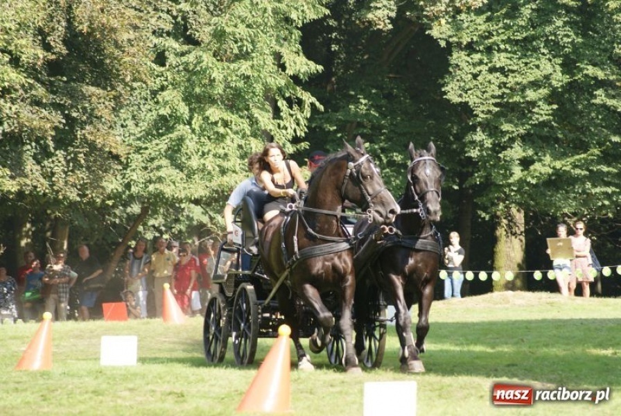 Zdjęcie w galerii na portalu naszraciborz.pl: Art Cup gwiazd z raciborskimi akcentami wiadomości z regionu