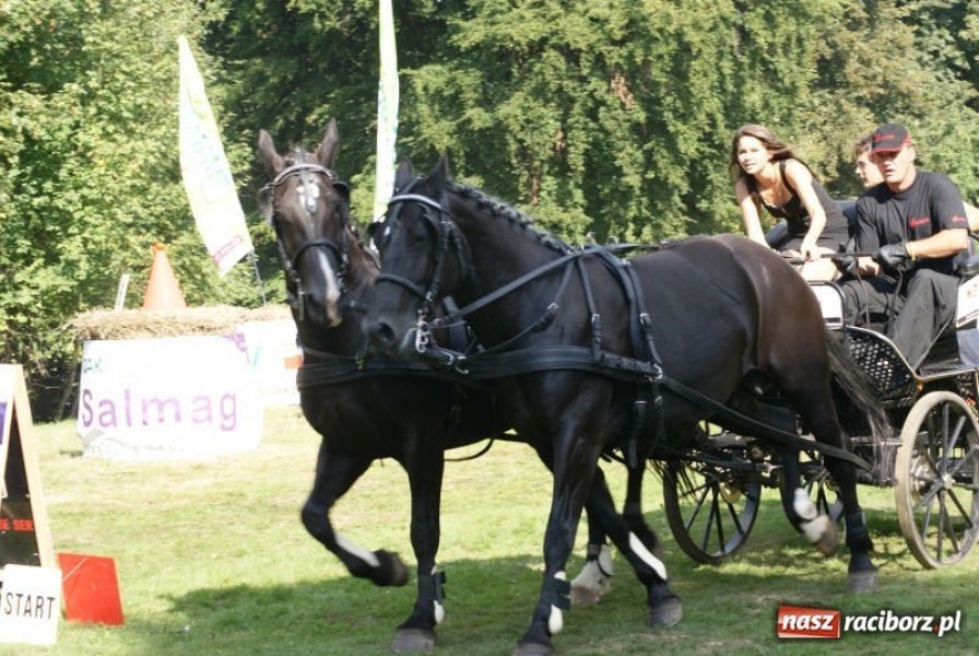 Zdjęcie w galerii na portalu naszraciborz.pl: Art Cup gwiazd z raciborskimi akcentami wiadomości z regionu