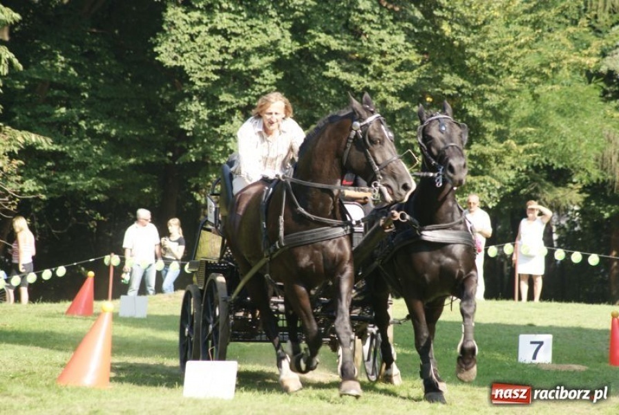 Zdjęcie w galerii na portalu naszraciborz.pl: Art Cup gwiazd z raciborskimi akcentami wiadomości z regionu