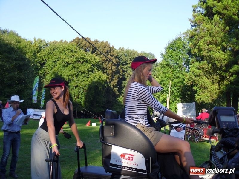 Zdjęcie w galerii na portalu naszraciborz.pl: Art Cup gwiazd z raciborskimi akcentami wiadomości z regionu