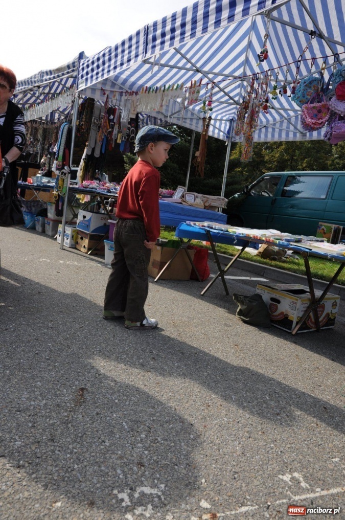 Zdjęcie w galerii na portalu naszraciborz.pl: Starocie i łakocie przy moście cesarza wiadomości z regionu