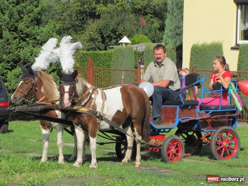 Zdjęcie w galerii na portalu naszraciborz.pl: W Makowie dożynki z Makumbą wiadomości z regionu
