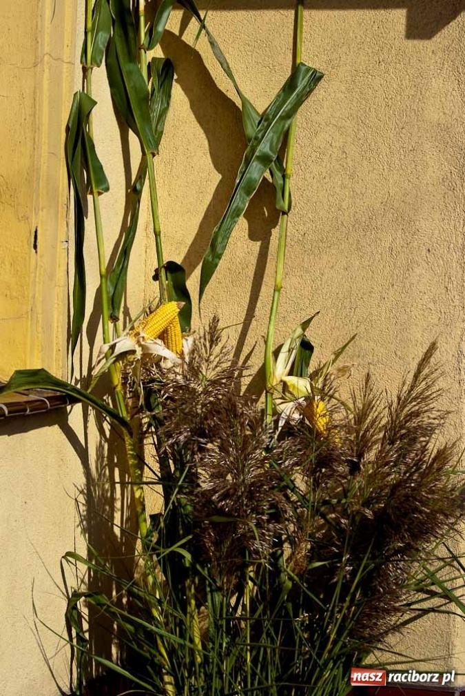 Zdjęcie w galerii na portalu naszraciborz.pl: Dożynki sołeckie w Tworkowie wiadomości z regionu