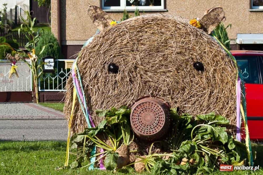 Zdjęcie w galerii na portalu naszraciborz.pl: Dożynki sołeckie w Tworkowie wiadomości z regionu