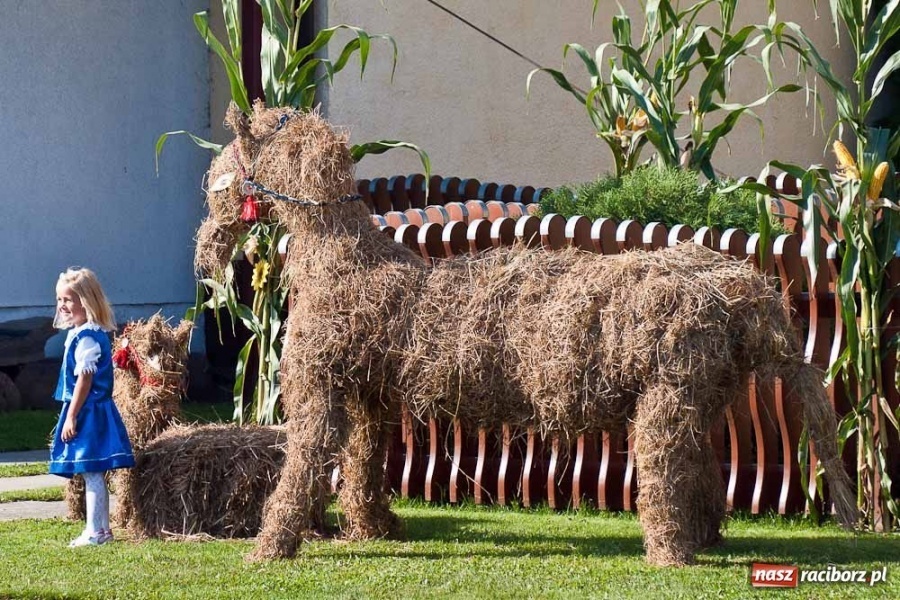 Zdjęcie w galerii na portalu naszraciborz.pl: Dożynki sołeckie w Tworkowie wiadomości z regionu