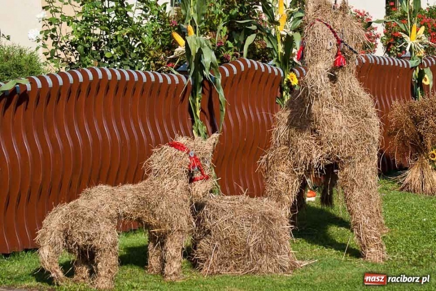 Zdjęcie w galerii na portalu naszraciborz.pl: Dożynki sołeckie w Tworkowie wiadomości z regionu