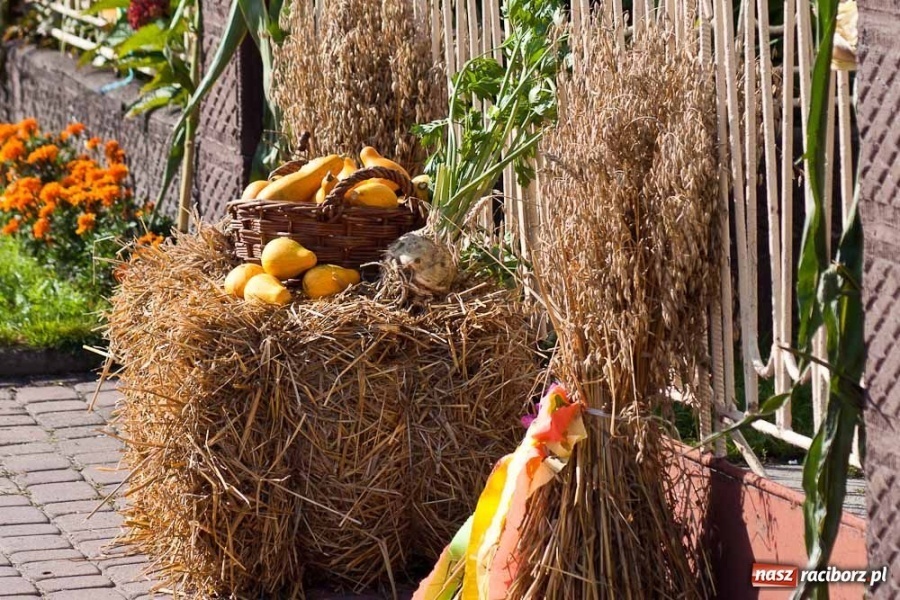 Zdjęcie w galerii na portalu naszraciborz.pl: Dożynki sołeckie w Tworkowie wiadomości z regionu