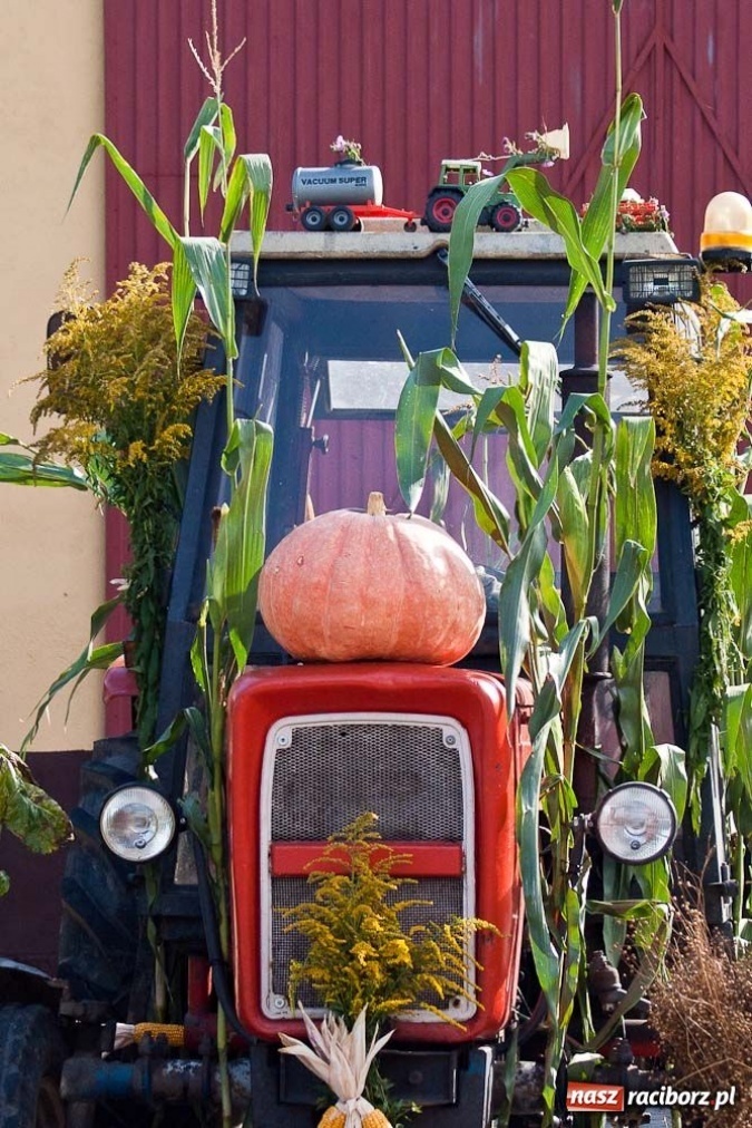 Zdjęcie w galerii na portalu naszraciborz.pl: Dożynki sołeckie w Tworkowie wiadomości z regionu